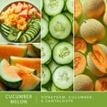 thumbnail image 3 of Cucumber Melon Scented Wax Melts, ScentSationals, 2.5 oz, 3 of 6