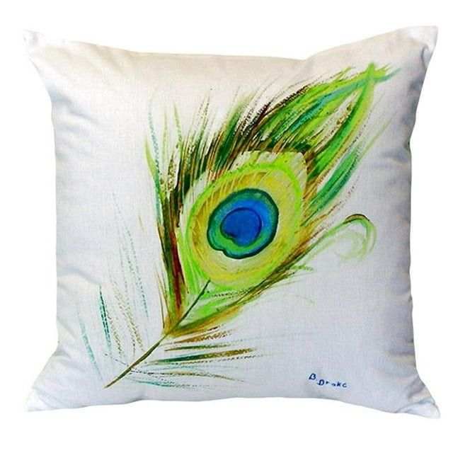 Oreiller Sans Cordon en Plume de Paon de 18 x 18 Po