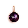 thumbnail image 1 of Piedra de nacimiento, diamantes de imitación, cristal, oro rosa, mes, joyería DIY, collar de Metal, cadena, pendientes, llaveros, colgantes, Ropa, zapatos y accesorios Miscelánea Morado oscuro Minnieouse AP010356-04B, 1 of 6