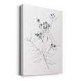 thumbnail image 2 of Indigo Sketch I Premium Gallery Wrapped Canvas - Ready to Hang, 2 of 9