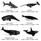 thumbnail image 3 of Juego de 6 piezas de animales marinos de simulación, juguetes de baño, figuras marinas, regalo para niños, 3 of 7