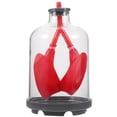 thumbnail image 2 of Modelo de demostración de la función pulmonar. Modelo educativo de respiración pulmonar. Material didáctico fisiológico., 2 of 7