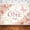 7x5ft, variant on 10x7ft Miss Onederful 1st Birthday Backdrop Blush Pink Floral Butterfly Photography Background Princess Sweet Baby Girl First Birthday Decorations Banner Photo Booth Props