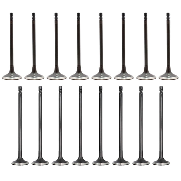 DNJ VK16827 Exhaust Intake Valve Kit Fits Cars & Trucks 2007-2016 Mini Cooper 1.6L L4 16V DOHC