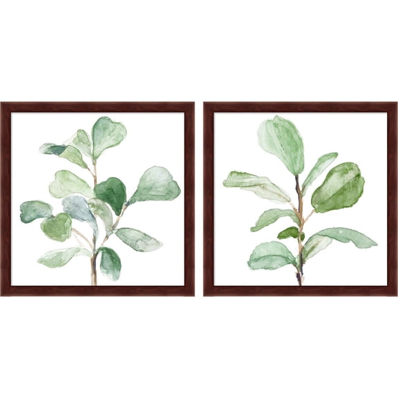 Great Art Now Fiddle Fig Leaf Plant by Lanie Loreth, 2 Piece Framed Art Set Each 13.25"W x 13.25"H