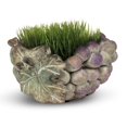 thumbnail image 3 of Grape Bunch Planter, 3 of 3