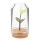 thumbnail image 2 of Miniature Rose Dome Decorative Flower Model for Dollhouse Accessories, Realistic Green Rose Under Thick Cloche, Easy Care Mini Plant Ornament for, 2 of 4