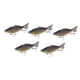 thumbnail image 5 of 5 señuelos de pesca Swimbaits realistas de superficie, duros y crankbaits para bagres, crappies, salmones, lubinas y luciopercas., 5 of 9