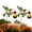 D, variant on Solar Hummingbird Garden Stake Light, Wrought Iron Outdoor Yard Art with Hummingbird Lantern Design for Garden Patio Lawn, Solar Powered Landscape Lighting