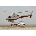 thumbnail image 2 of A pair of AS350 Squirrel helicopters of the Royal Jordanian Air Force Poster Print, 2 of 2