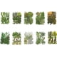 thumbnail image 4 of Juego de hojas secas Billuyoard tipo 9 Conjunto de hojas verdes, 4 of 6