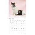 thumbnail image 3 of Rats | 2024 12x24" (Hanging) Monthly Square Wall Calendar | BrownTrout, 3 of 8