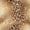 Color 3, variant on Peel and Stick Wallpaper Leopard Print Beige Black Brown Accents 17.7in x 118in Contact Paper Removable Self Adhesive Wall Mural Wall Decor for Bedroom Kitchen Cabinets