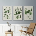 thumbnail image 5 of Forest Foliage on Linen I - Framed Premium Gallery Wrapped Canvas L Frame 3 Piece Set - Ready to Hang, 5 of 9