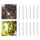 thumbnail image 3 of Dispositivo disuasorio en espiral de 12/30 piezas, repelente de aves reflectante de 12 pulgadas 12 piezas, 3 of 9