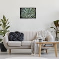 thumbnail image 3 of Stupell Industries Centric Succulent Leaves Botanical & Floral Photography Black Floater Framed Canvas Art Print Wall Art, 25 x 17, 3 of 10