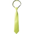 thumbnail image 1 of Spring Notion Boys Satin Zipper Necktie, Optional Gift Box, 1 of 5