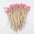 thumbnail image 4 of 100Pcs Rock Candy Sticks with Ball 6inch Wooden Sticks Wood Cake Sticks Drink Stirrer Sticks for Lollipop Coffee Appetizer Skewers (Round), 4 of 7