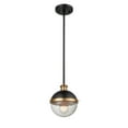 thumbnail image 3 of Millennium Lighting - Ellmira - 1 Light Pendant-11.38 Inches Tall and 8.63, 3 of 5