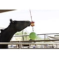 thumbnail image 3 of Horsemen's Pride Combo Horse Stall Toy: Bola alegre con aroma a manzana y soporte para refrigerios con sabor a manzana (SS203), 3 of 4