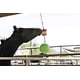 thumbnail image 3 of Horsemen's Pride Combo Horse Stall Toy: Bola alegre con aroma a manzana y soporte para refrigerios con sabor a manzana (SS203), 3 of 4