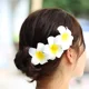 thumbnail image 4 of 50 Uds 2,4 "espuma blanca Frangipani hawaiano Plumeria Artificial sombrero de flores pinzas para el cabello para fiesta en casa decoración de vacaciones en la playa, 4 of 5