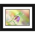thumbnail image 1 of Parker, Jacky 14x11 Black Ornate Wood Framed with Double Matting Museum Art Print Titled - Snakes Head Fritillary, 1 of 4