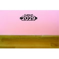 thumbnail image 1 of Custom Decals Class Of 2029 Wall Art Size: 10 X 20 Inches Color: Black, 1 of 1