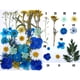 thumbnail image 3 of Flores de hojas prensadas secas reales, margaritas prensadas para joyería artesanal de resina Azul, 3 of 4