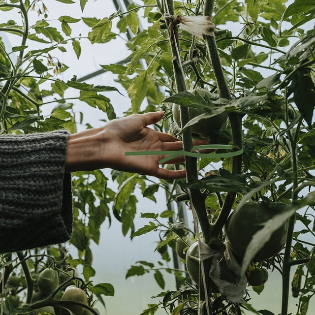 unbranded Ataduras Para Jardinería Verde Para Fijar Plantas Con Cable Flexible Y Durable