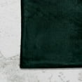 thumbnail image 2 of The Cozy Creations Velvet Placemats Set of 32, Rectangle Placemats for Kitchen Dining Table, Boho Luxury Table Mats for Holiday Christmas Party Wedding, Forest Green Velvet Placemat, 13x18 Inch, 2 of 3