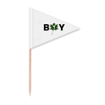 thumbnail image 1 of Boy  Textual Posture Art Deco  Fashion Toothpick Triangle Cupcake Toppers Flag, 1 of 3