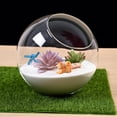 thumbnail image 2 of Micro Landscape Glass Vase Bauble Balls Succulent Plant Terrarium Container Angled Flower Pots, 2 of 6