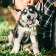 thumbnail image 2 of Hearth & Gear Cool Pet Scarf Cool Scarf For Dogs Summer Heat Prevention Cool Scarf For Dogs Neck Dog Name Christmas Custom Dog Custom Dog Leash Boy Dog Leash Dog Colors with Names Dog Name Dog Color, 2 of 5