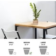 thumbnail image 5 of Live ZZ Plant, Zamioculcas Zamiifolia, Birthday Gift Plant, Mother's Day Gift, Housewarming Gift, Plant Lover Gift, Indoor Potted Plant, Live Houseplant in 6" Wooden Gift Pot, 5 of 5