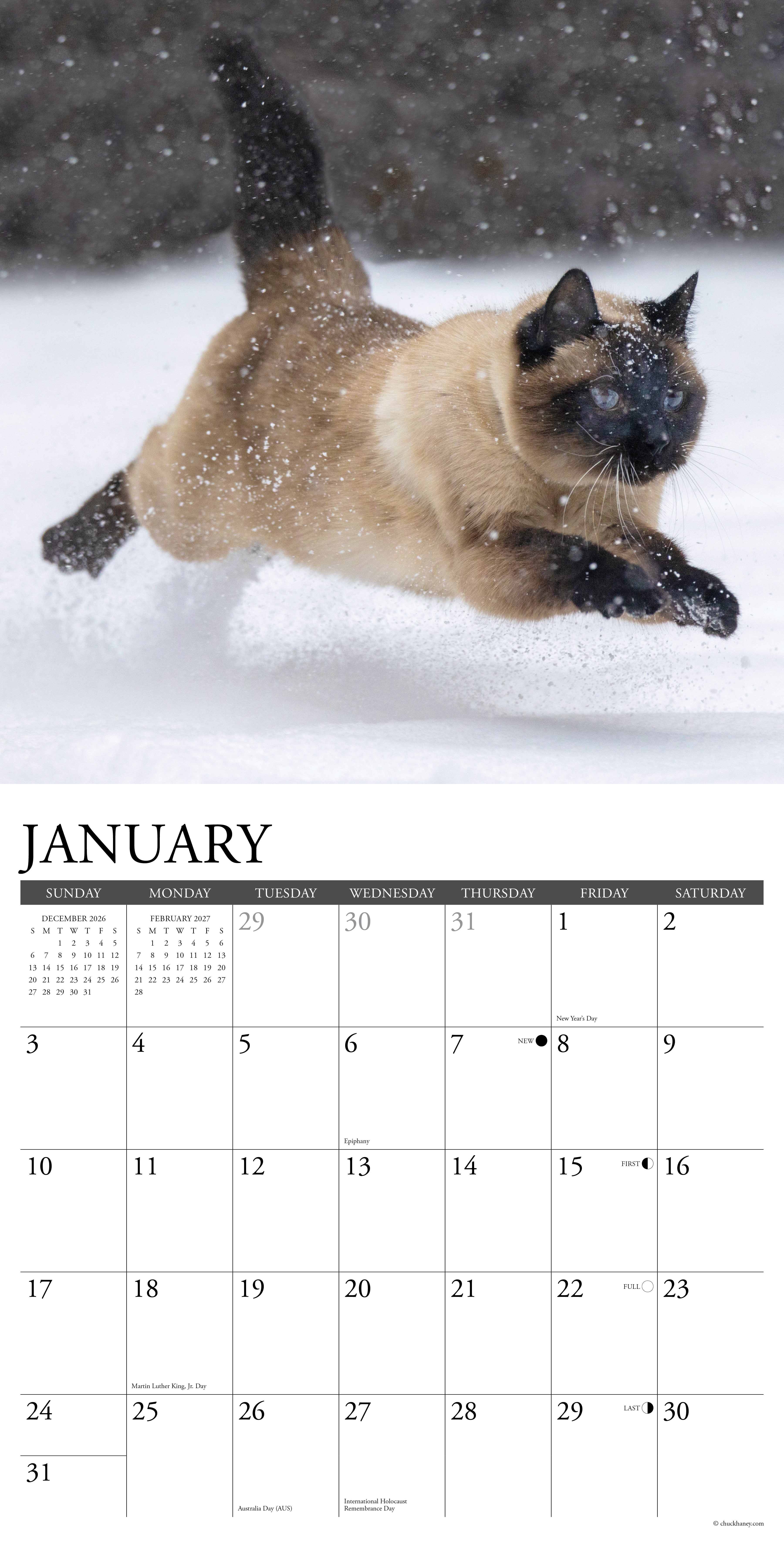 Willow Creek Press, Siamese Cats 2027 Wall Calendar