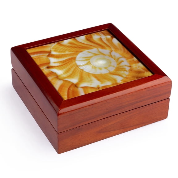 3dRose, Natural spiral pattern in seashell, Florida - US10 AJE0186 - Adam Jones, Jewelry Box 5.5x5.5 inch with 4 inch tile