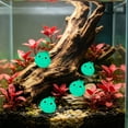 thumbnail image 6 of Tuvgenk Glow in Dark Mini Seal Aquarium Decor, Luminous Fish Tank Ornament Night Light, Cute Floating Seal Statue for Bettas Shrimp Tank, 0.7 Inch, 6 of 6