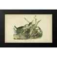 thumbnail image 2 of Audubon, John James 24x16 Black Modern Framed Museum Art Print Titled - Audubon Green Heron, 2 of 5