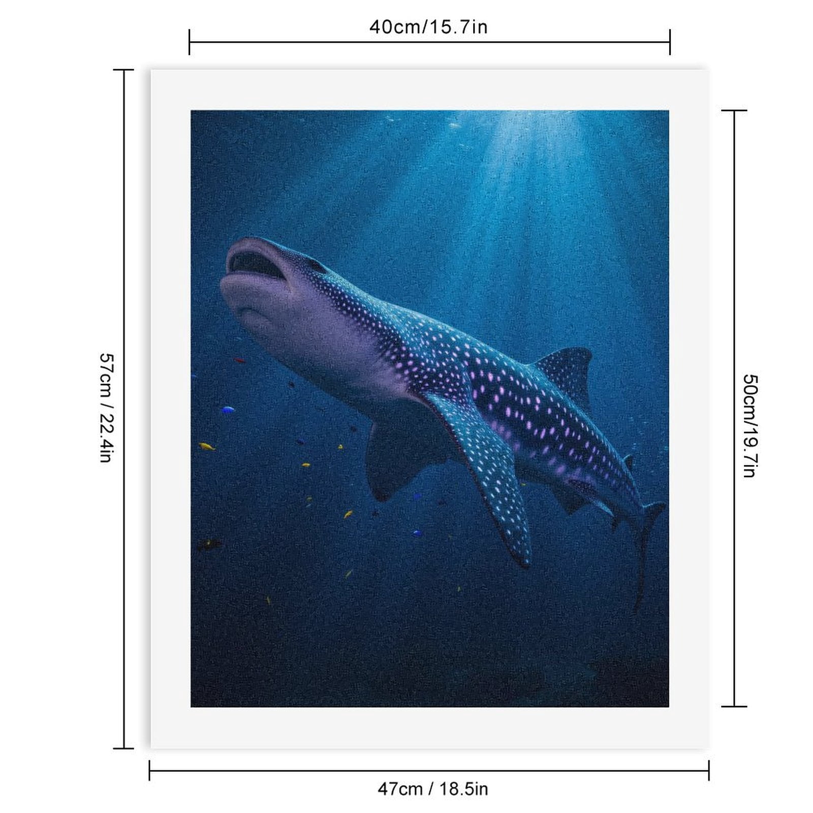 Paint By Numbers Kit for Adults Beginner - DIY Whale Shark Ocean Glow Canvas Painting Kits for Adults, Frameless Paint By Number for Adults for Home Wall Decor 16x20 Inch