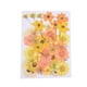 thumbnail image 4 of Advancent Flores secas amarilla anaranjada 5Conjunto, 4 of 6