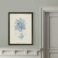 thumbnail image 4 of Wexford Home Antique Coral in Navy VI-Framed Canvas - Black - 22X30, 4 of 4