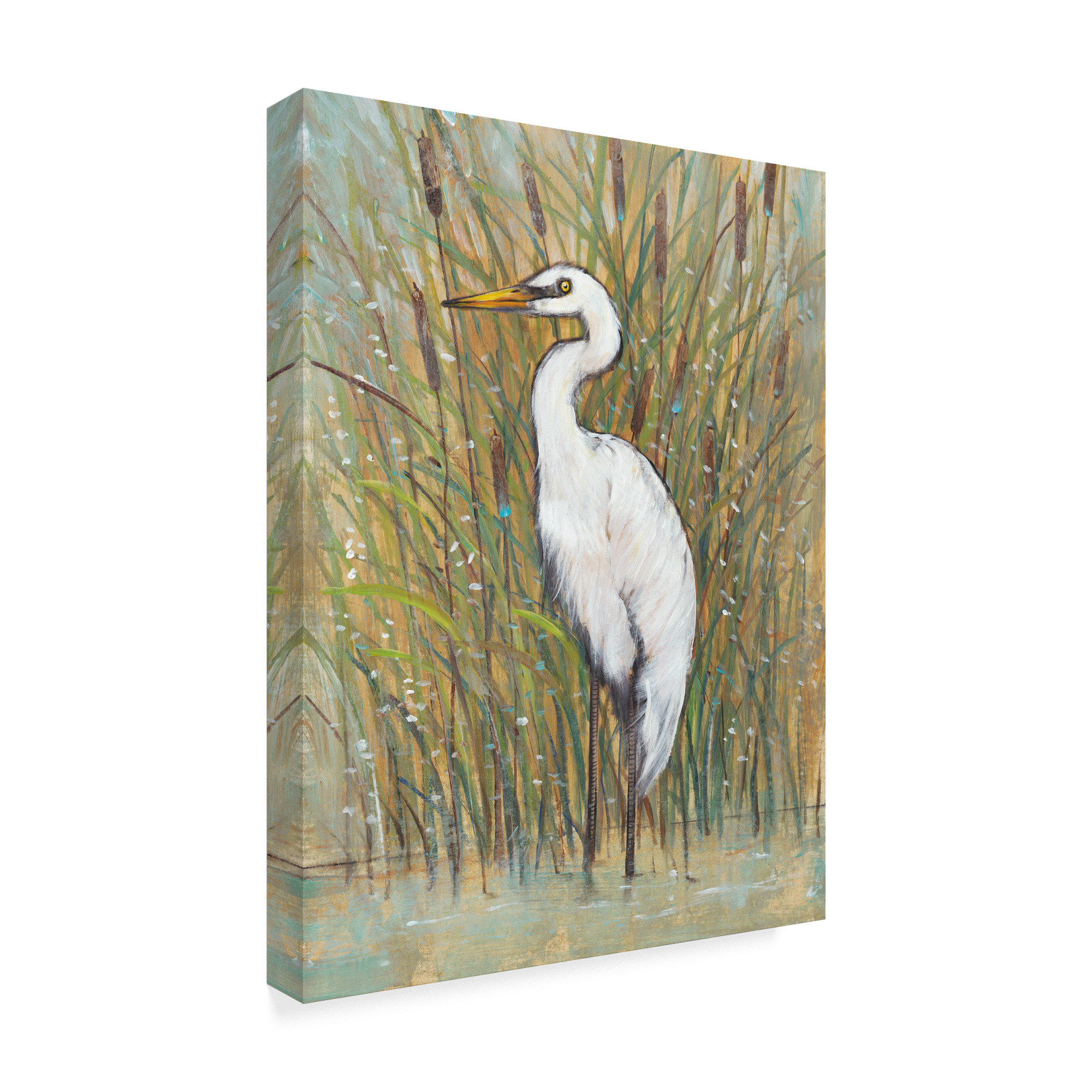 Trademark Fine Art 'White Egret I' Canvas Art by Tim OToole