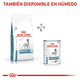 thumbnail image 4 of Combo Royal Canin Hydrolyzed Protein Adult Canine 3.5 Kg MAS Dos Latas Royal Canin Adulto 385 gr, 4 of 7