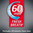 thumbnail image 4 of Dentyne Ice Arctic Chill Sugar Free Gum, 3 Packs of 16 Pieces (48 Total Regular Size Pieces), 4 of 9