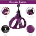 thumbnail image 4 of BELLA & PAL Puppy Harness and Leash Set,Reflective Adjustable Dog Harness for Small Dogs No Pull,Step in Soft Mesh Harness for Extra Small Dogs,Deep Purple Harness,XXS, 4 of 9