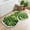 GBZ-Green, variant on SIXHOME 20"x32" Bathroom Rug with Green Leaf Non Slip Bath Mat Fluffy Soft Super Absorbent Quick Dry Bathroom Mat Machine Washable Tufted Monstera Bath Mats for Bathroom Floor Green