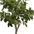 thumbnail image 3 of Vintage Home Artificial Faux Tung Tree 30" High Fake Plant Real Touch for Indoor/Outdoor Home and Office Accent Décor with Eco Planter, 3 of 6