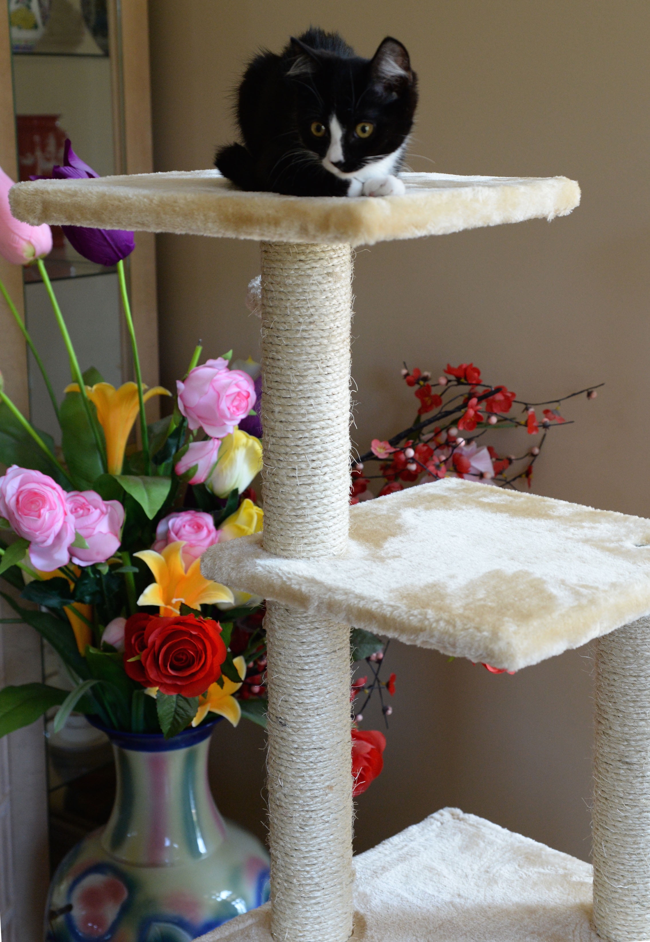 Armarkat 52-in Cat Tree & Condo Scratching Post Tower, Beige