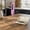 Pink, variant on Rechargeable Milk Frother with Stand, 4 Interchangeable Whisks & Travel Case – Handheld Mixer for Lattes, Matcha, Hot Chocolate, Eggs & Protein Shakes